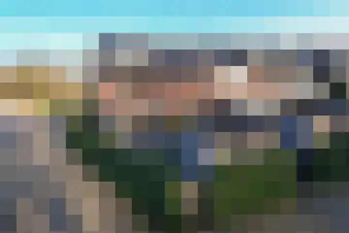Honingbij 78 Son en Breugel thumbnail 29