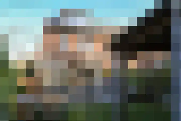 Honingbij 78 Son en Breugel thumbnail 4