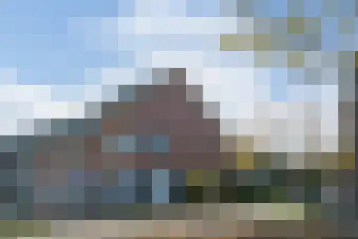 Honingbij 78 Son en Breugel thumbnail 5