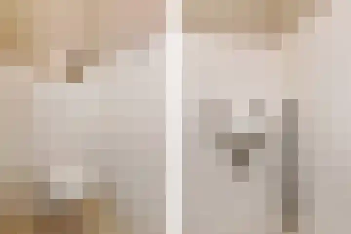 Honingbij 78 Son en Breugel thumbnail 7