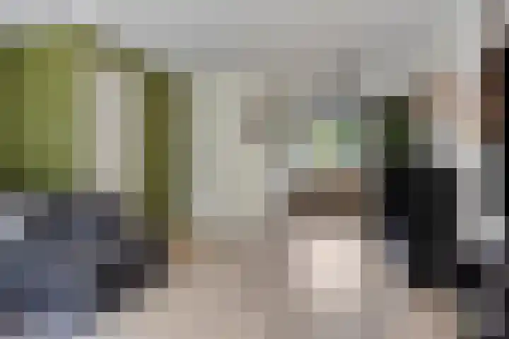 Honingbij 80 Son en Breugel thumbnail 12