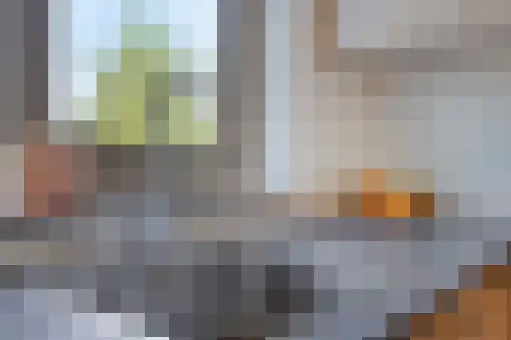 Honingbij 80 Son en Breugel thumbnail 15