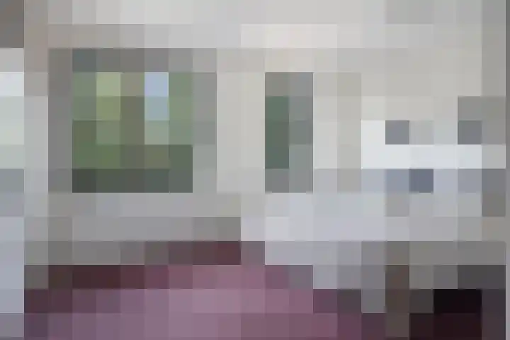 Honingbij 80 Son en Breugel thumbnail 18