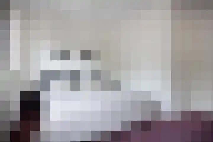 Honingbij 80 Son en Breugel thumbnail 19