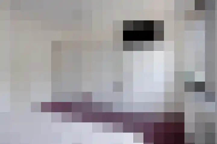 Honingbij 80 Son en Breugel thumbnail 20