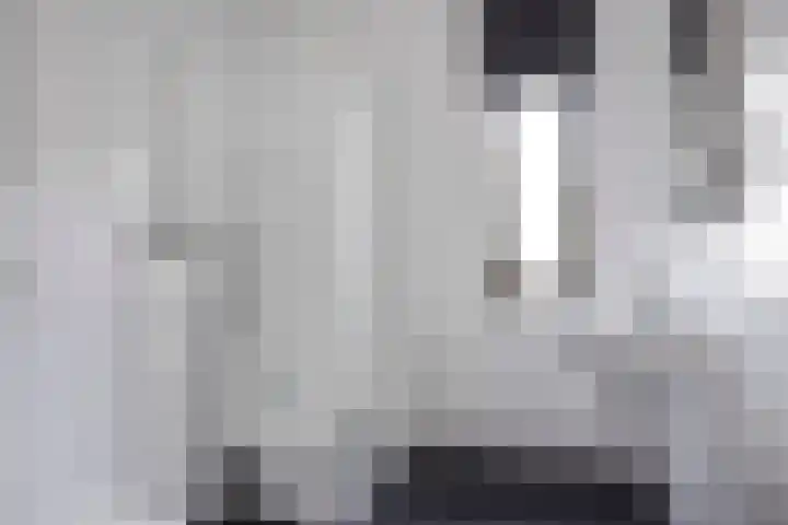 Honingbij 80 Son en Breugel thumbnail 21