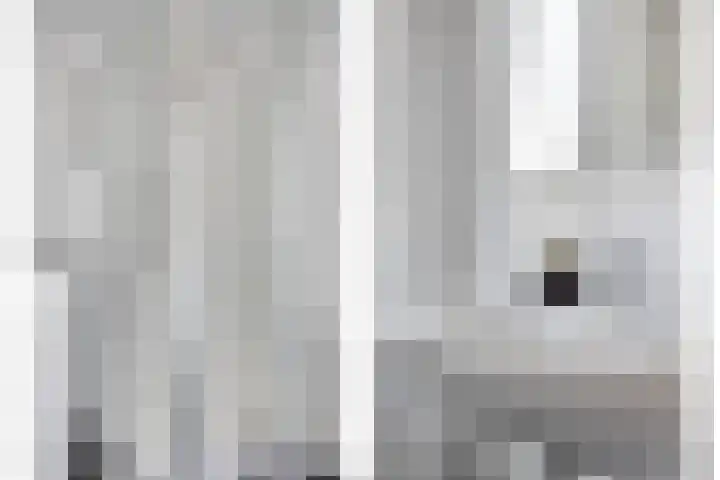Honingbij 80 Son en Breugel thumbnail 22