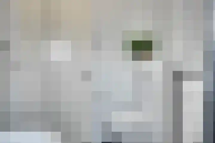 Honingbij 80 Son en Breugel thumbnail 23