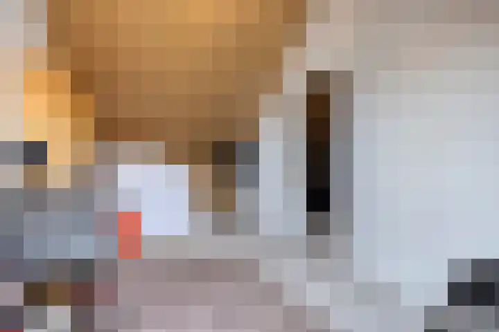 Honingbij 80 Son en Breugel thumbnail 28