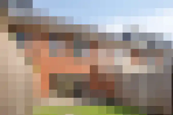 Honingbij 80 Son en Breugel thumbnail 29
