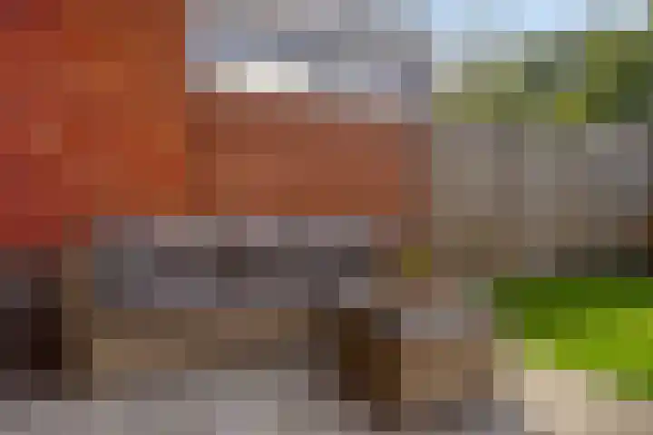 Honingbij 80 Son en Breugel thumbnail 32