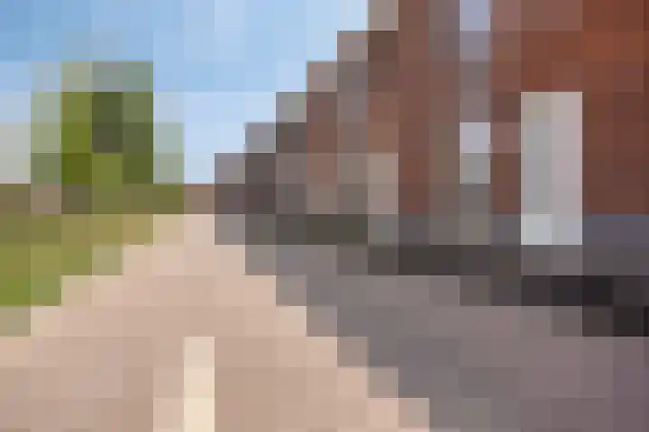 Honingbij 80 Son en Breugel thumbnail 35