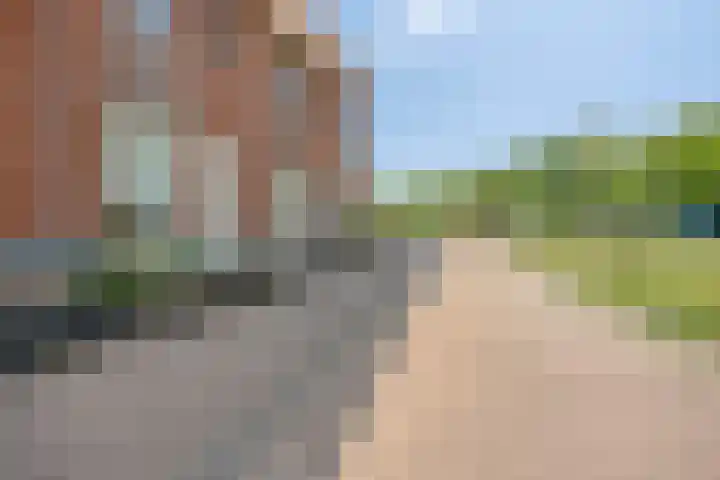 Honingbij 80 Son en Breugel thumbnail 36