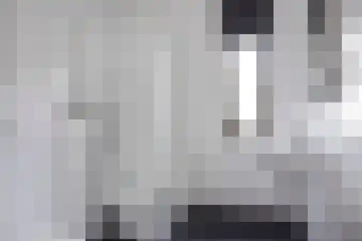 Honingbij 80 Son en Breugel thumbnail 4
