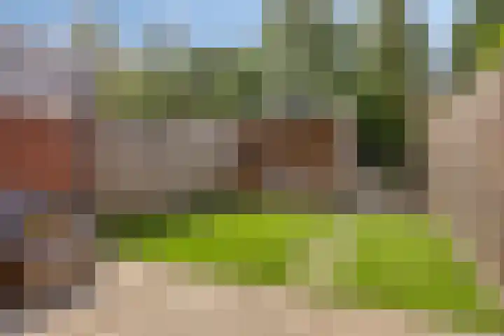 Honingbij 80 Son en Breugel thumbnail 5