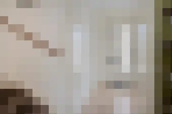 Honingbij 80 Son en Breugel thumbnail 8