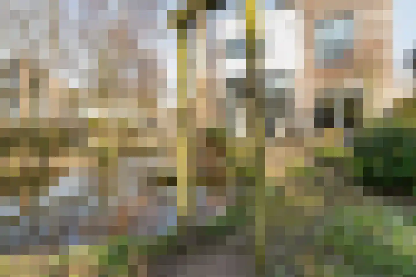 Honingbijstraat 2 Almere thumbnail 52