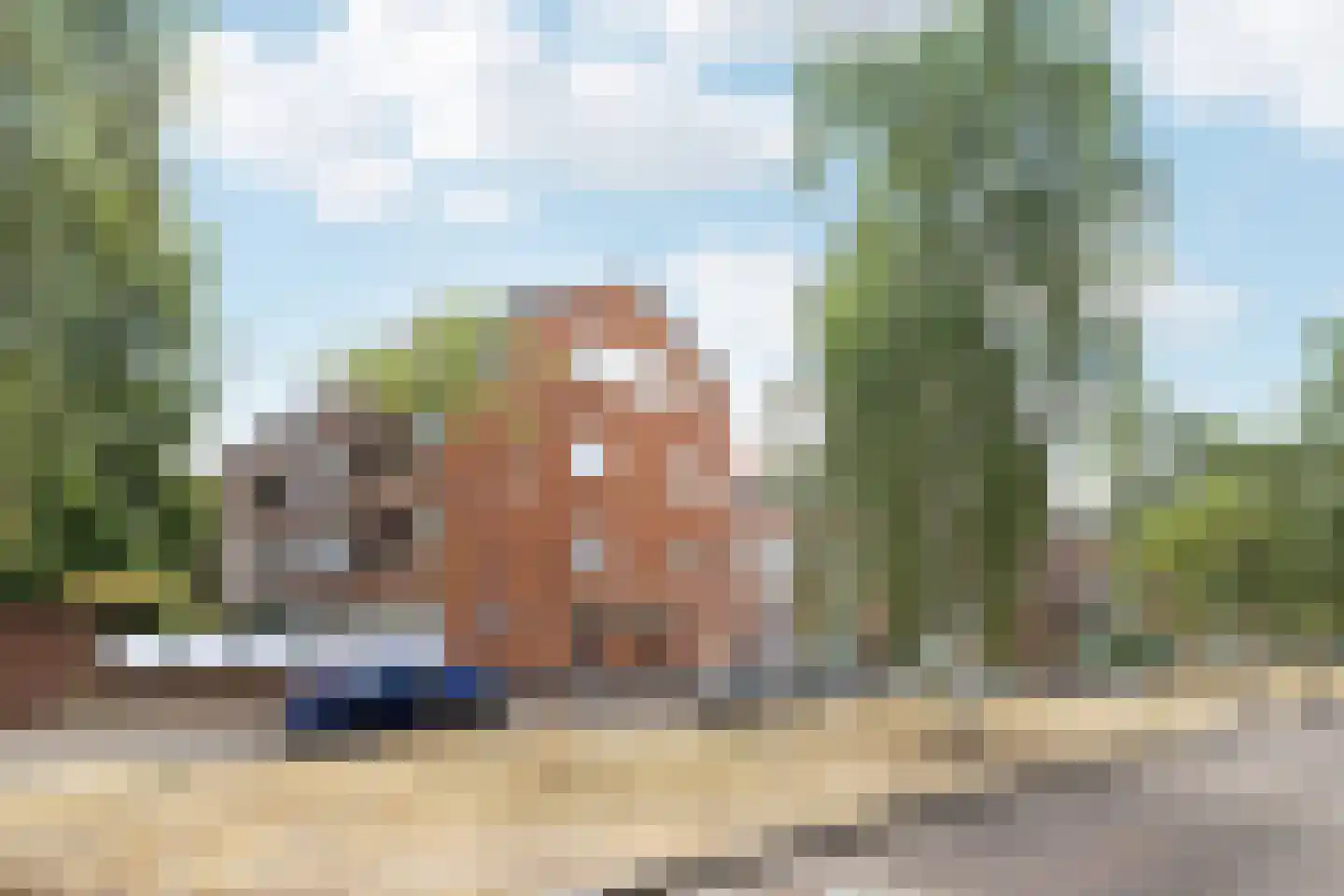 Honingbijstraat 30 Rotterdam thumbnail 20