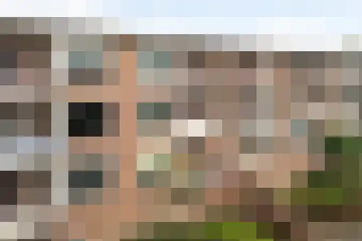 Honingboomstraat 9 b in Leeuwarden