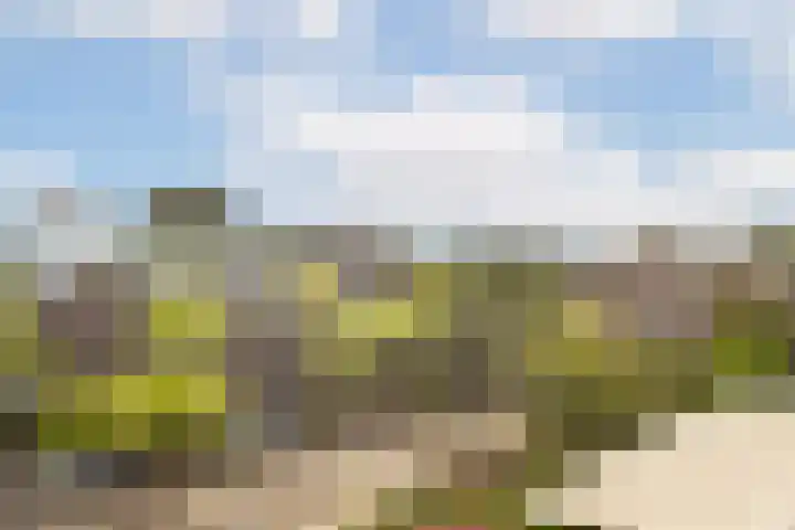 Honingen 27 Amsterdam thumbnail 9