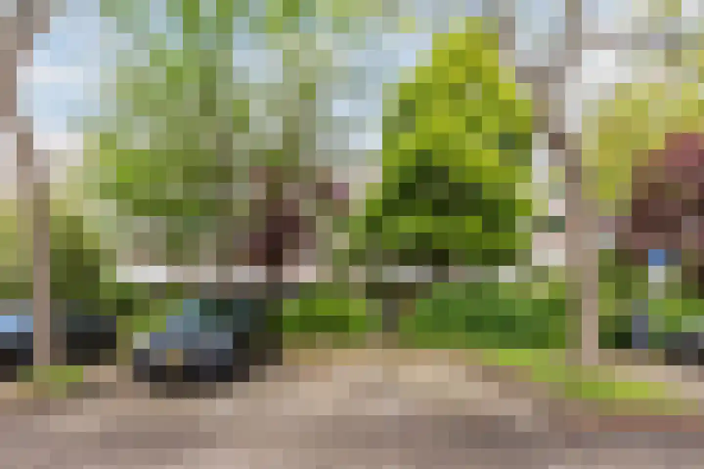 Honingen 6 Amsterdam thumbnail 17