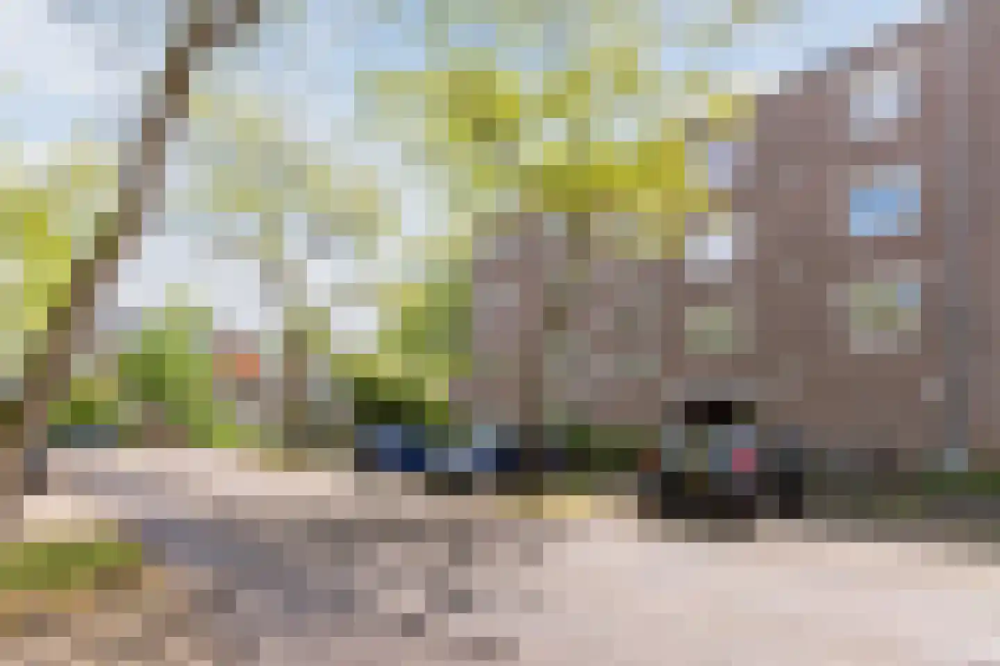 Honingen 6 Amsterdam thumbnail 5