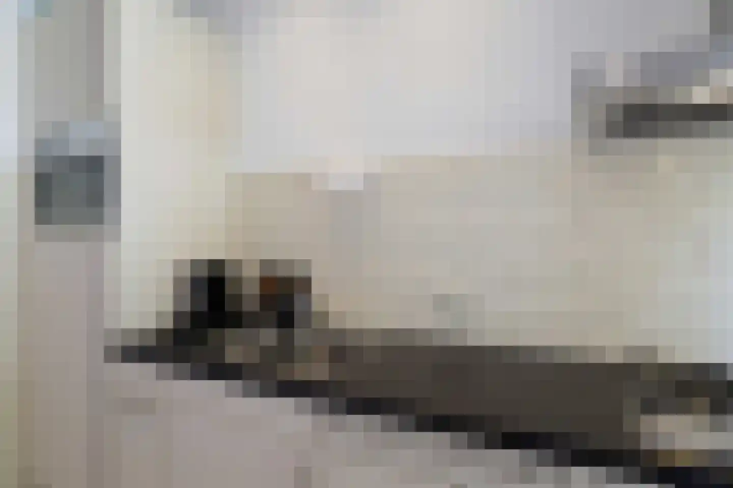 Honingerdijk 31 B 02 Rotterdam thumbnail 18