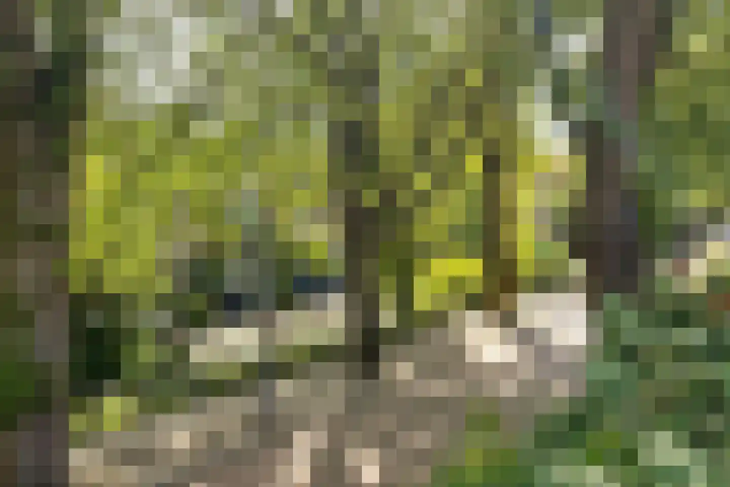 Honingerdijk 31 B 02 Rotterdam thumbnail 39
