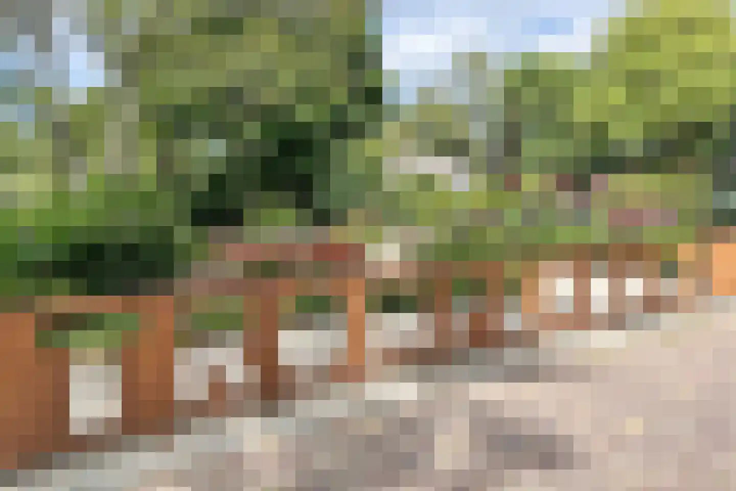 Honingerdijk 31 B 02 Rotterdam thumbnail 40