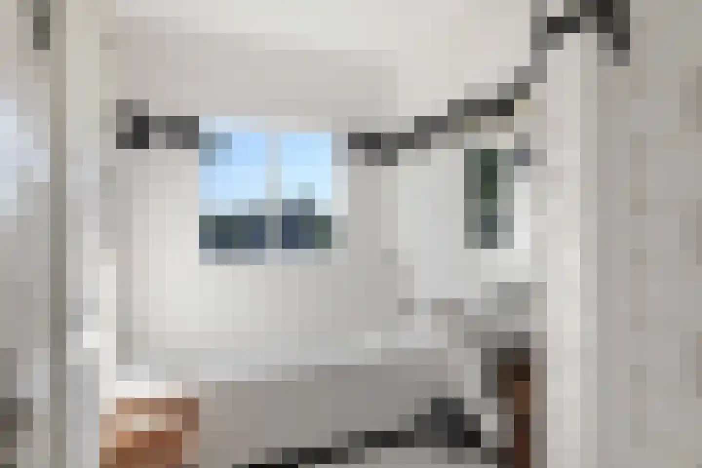 Honingerdijk 31 B 02 Rotterdam thumbnail 5
