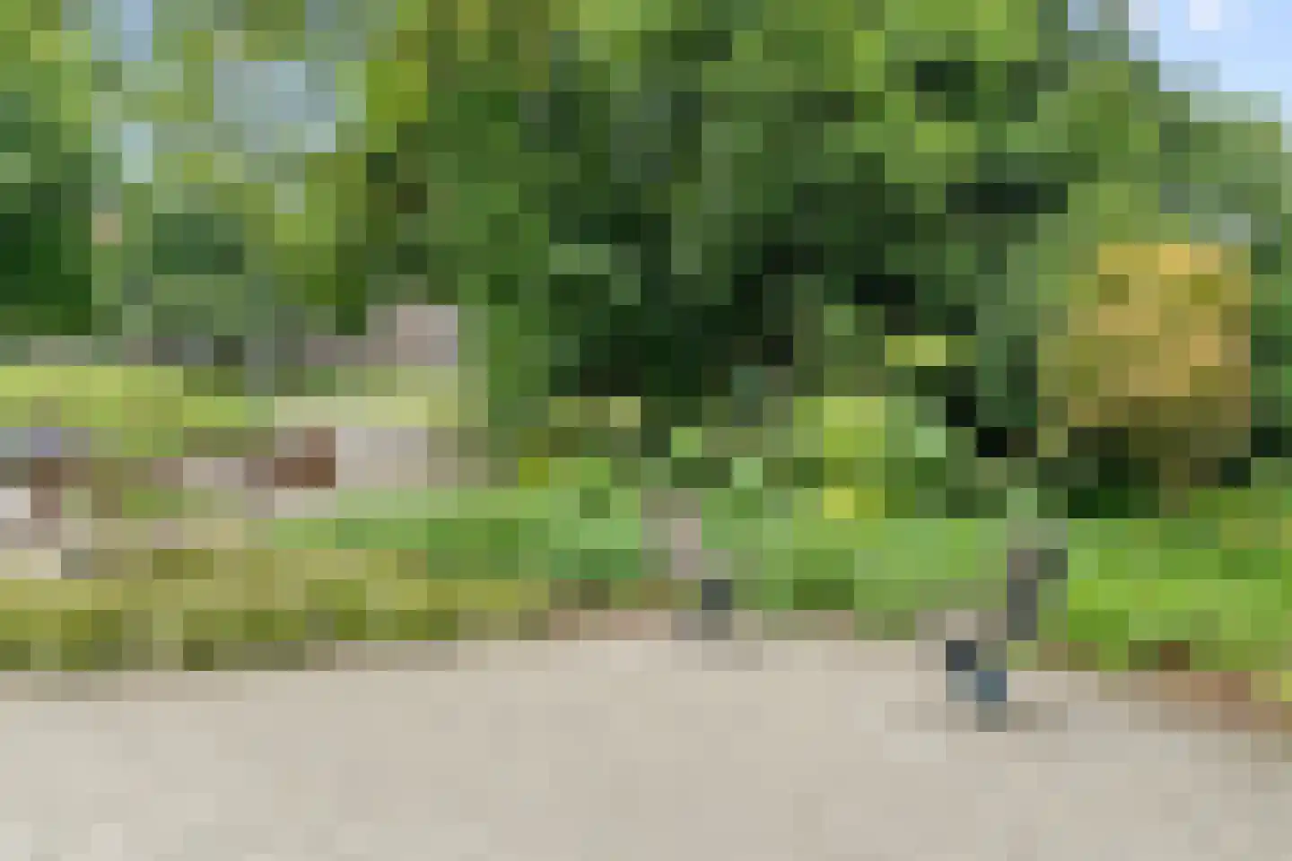 Honingerdijk 41 A Rotterdam thumbnail 38