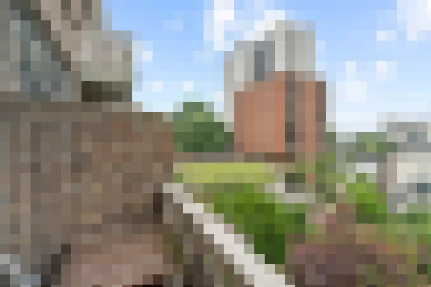 Honingerdijk 41 A Rotterdam thumbnail 4