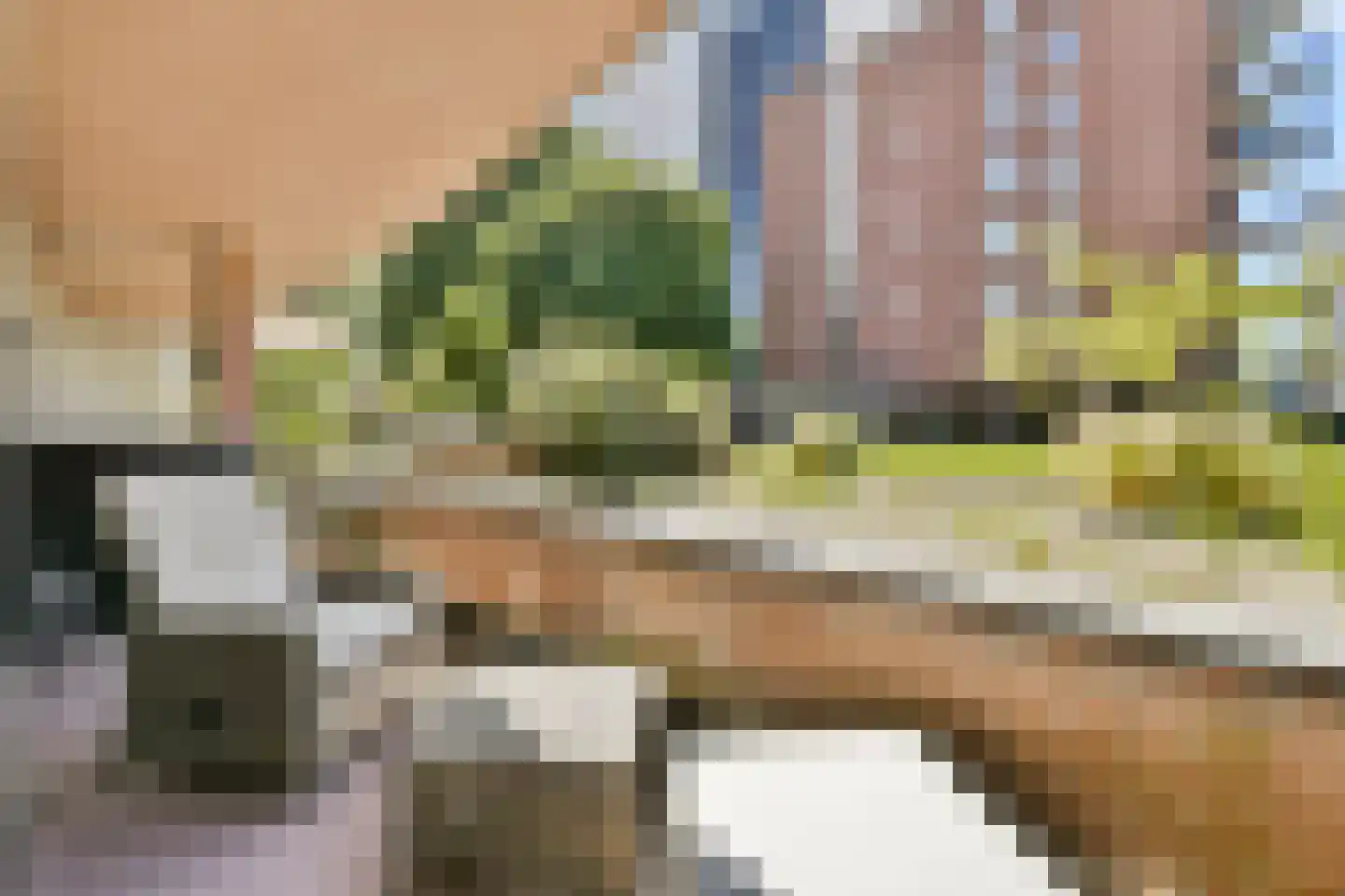 Honingerdijk 53 B Rotterdam thumbnail 13