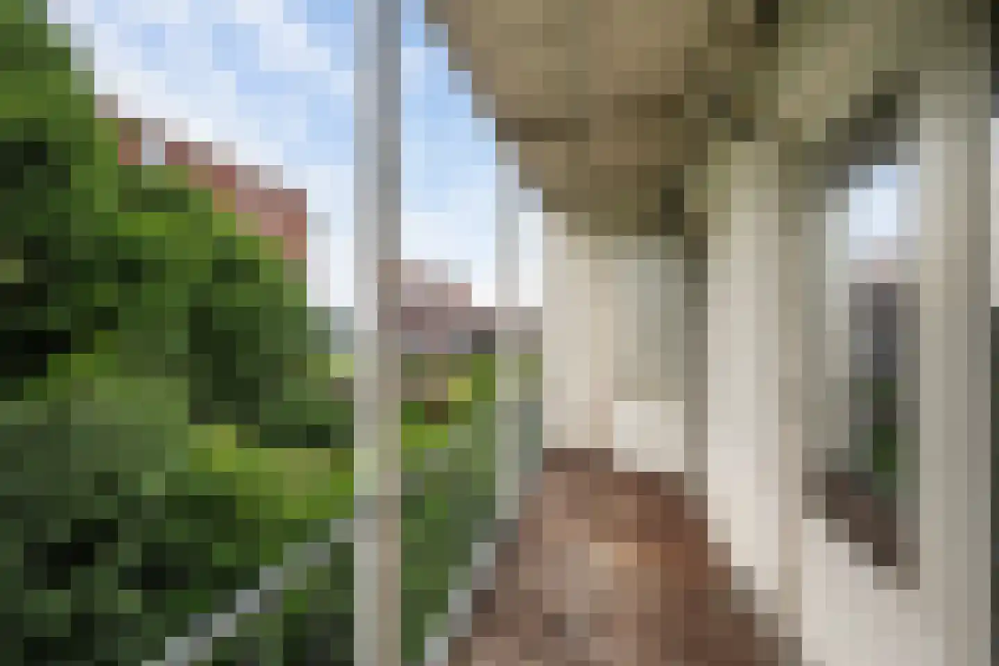 Honingerdijk 69 A 02 Rotterdam thumbnail 8