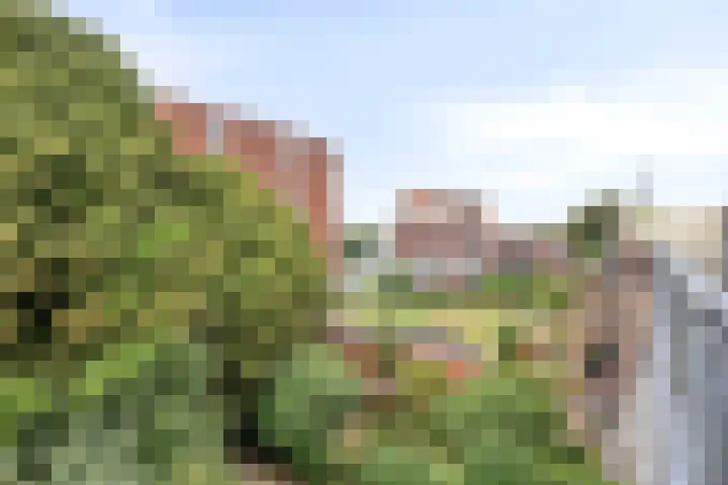 Honingerdijk 69 A 03 Rotterdam thumbnail 16