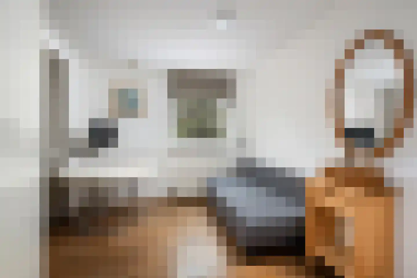 Honingerhof 10 Rotterdam thumbnail 15