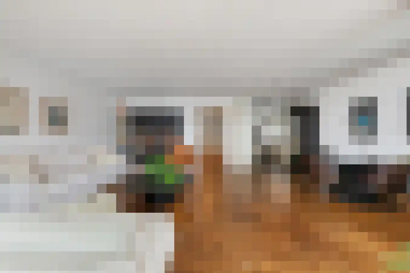 Honingerhof 10 Rotterdam thumbnail 5