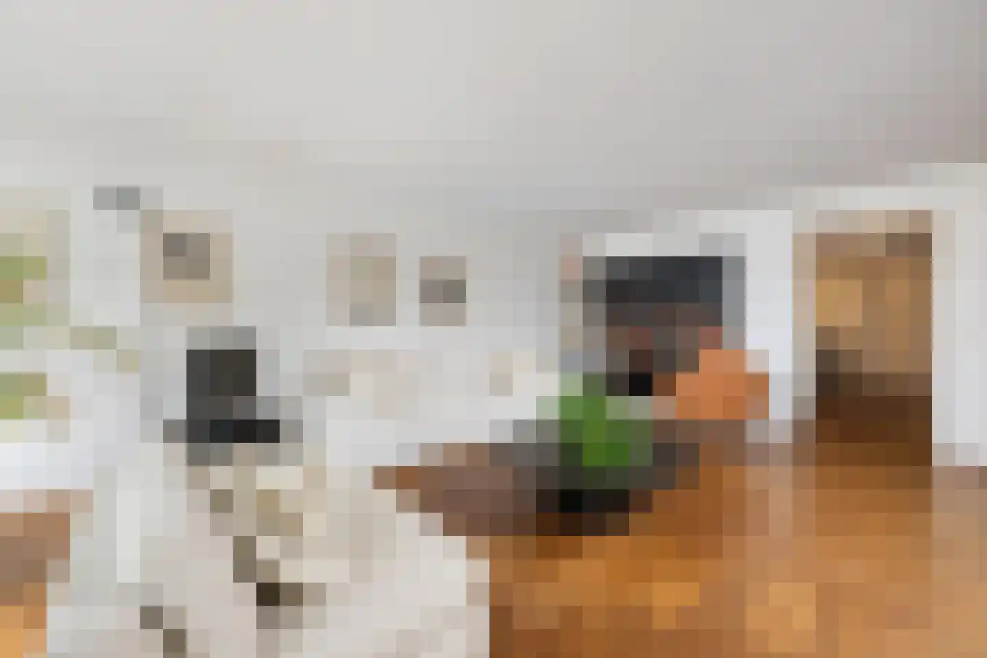 Honingerhof 10 Rotterdam thumbnail 7