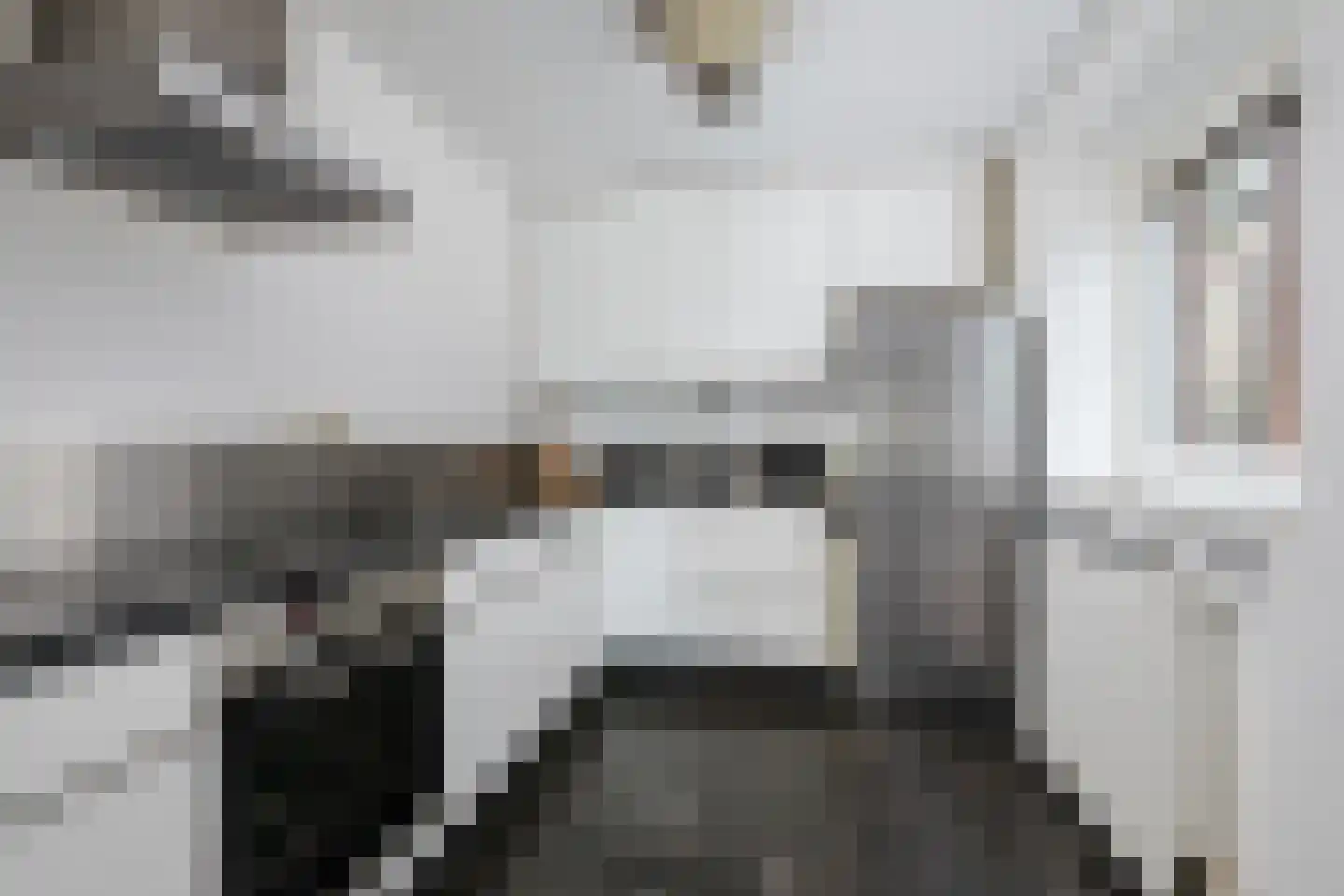 Honingerhof 10 Rotterdam thumbnail 8