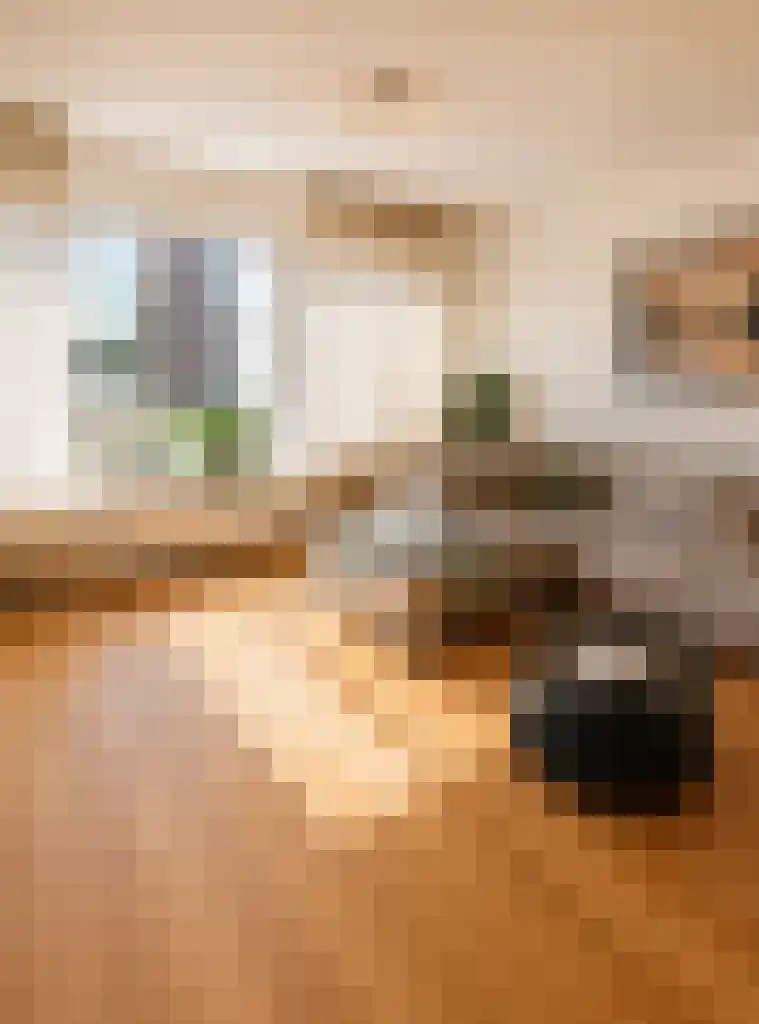 Honingerhof 33 Rotterdam thumbnail 4