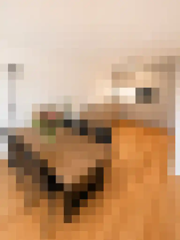 Honingerhof 33 Rotterdam thumbnail 5