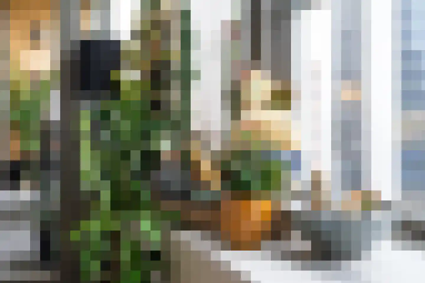 Honingerhof 34 Rotterdam thumbnail 17