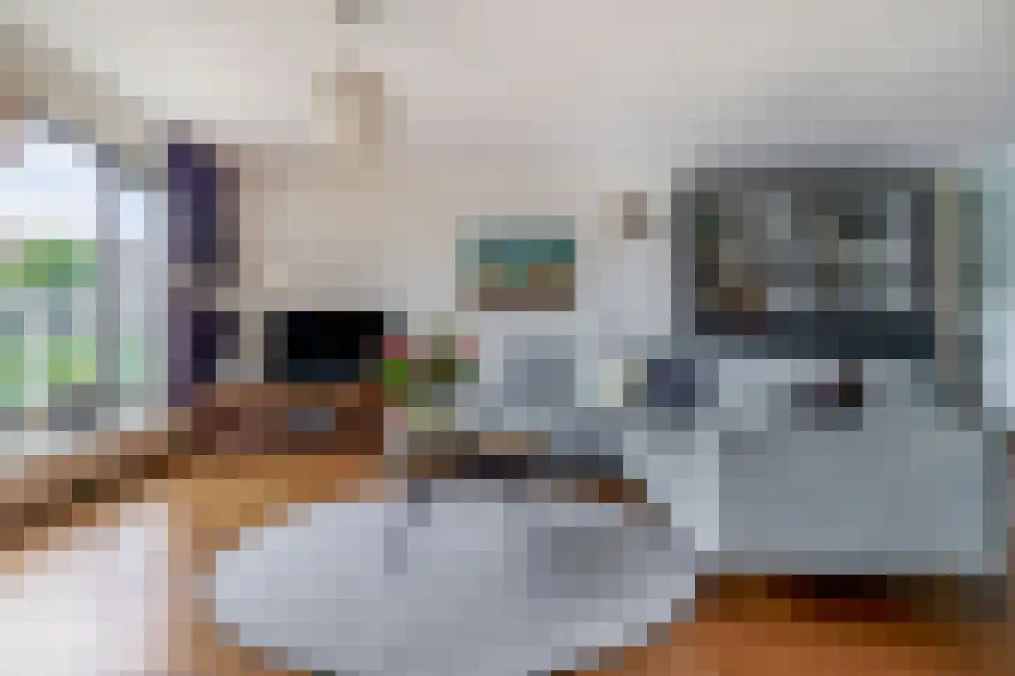 Honingerhof 5 Rotterdam thumbnail 22