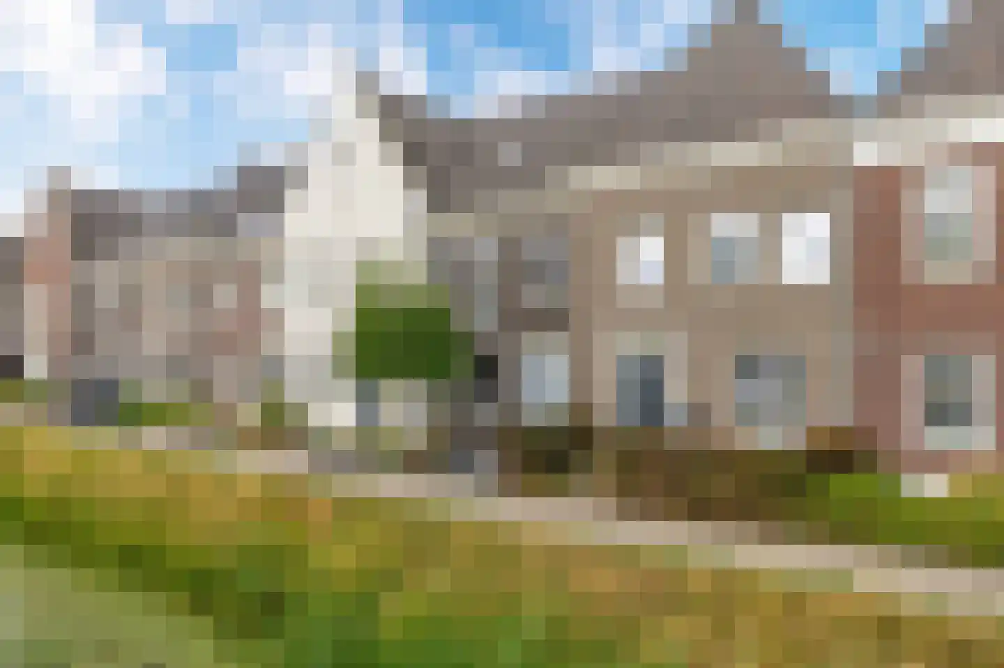 Honingeter 26 in Dirksland