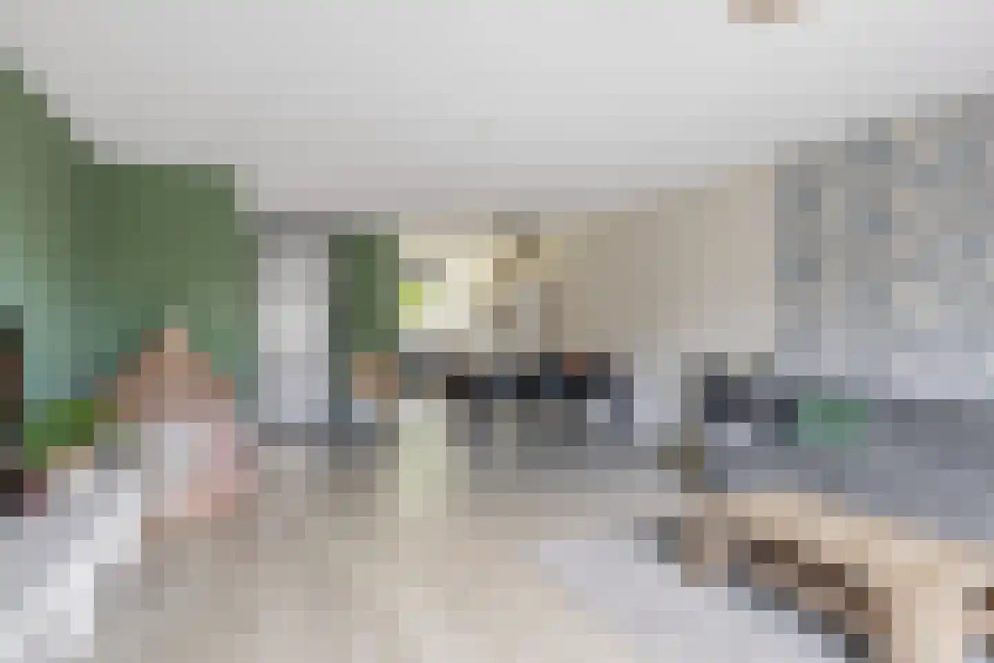 Honingeter 26 Dirksland thumbnail 11