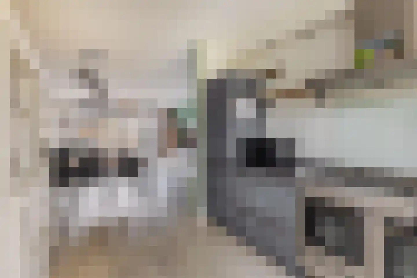 Honingeter 26 Dirksland thumbnail 13