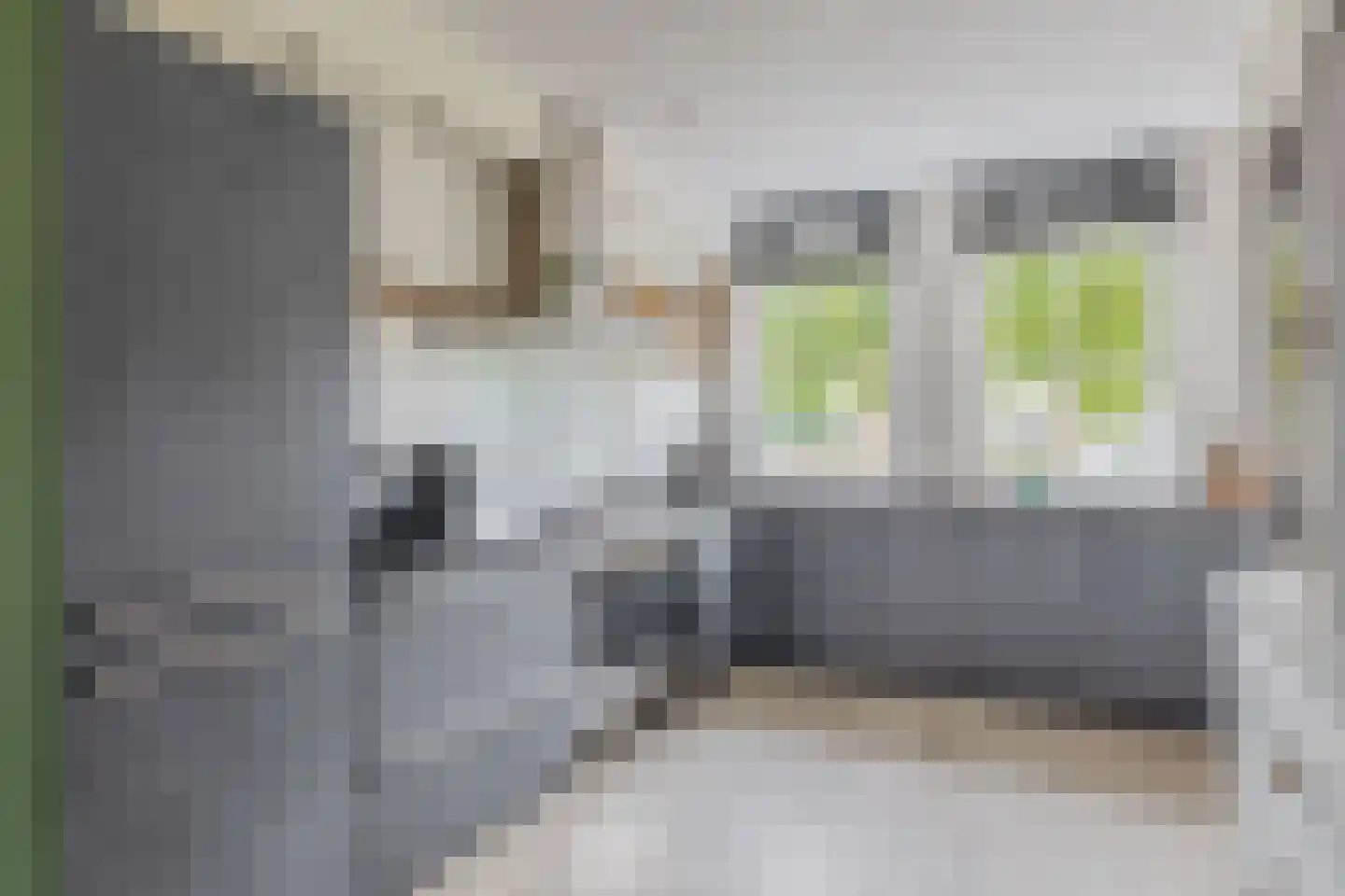 Honingeter 26 Dirksland thumbnail 14