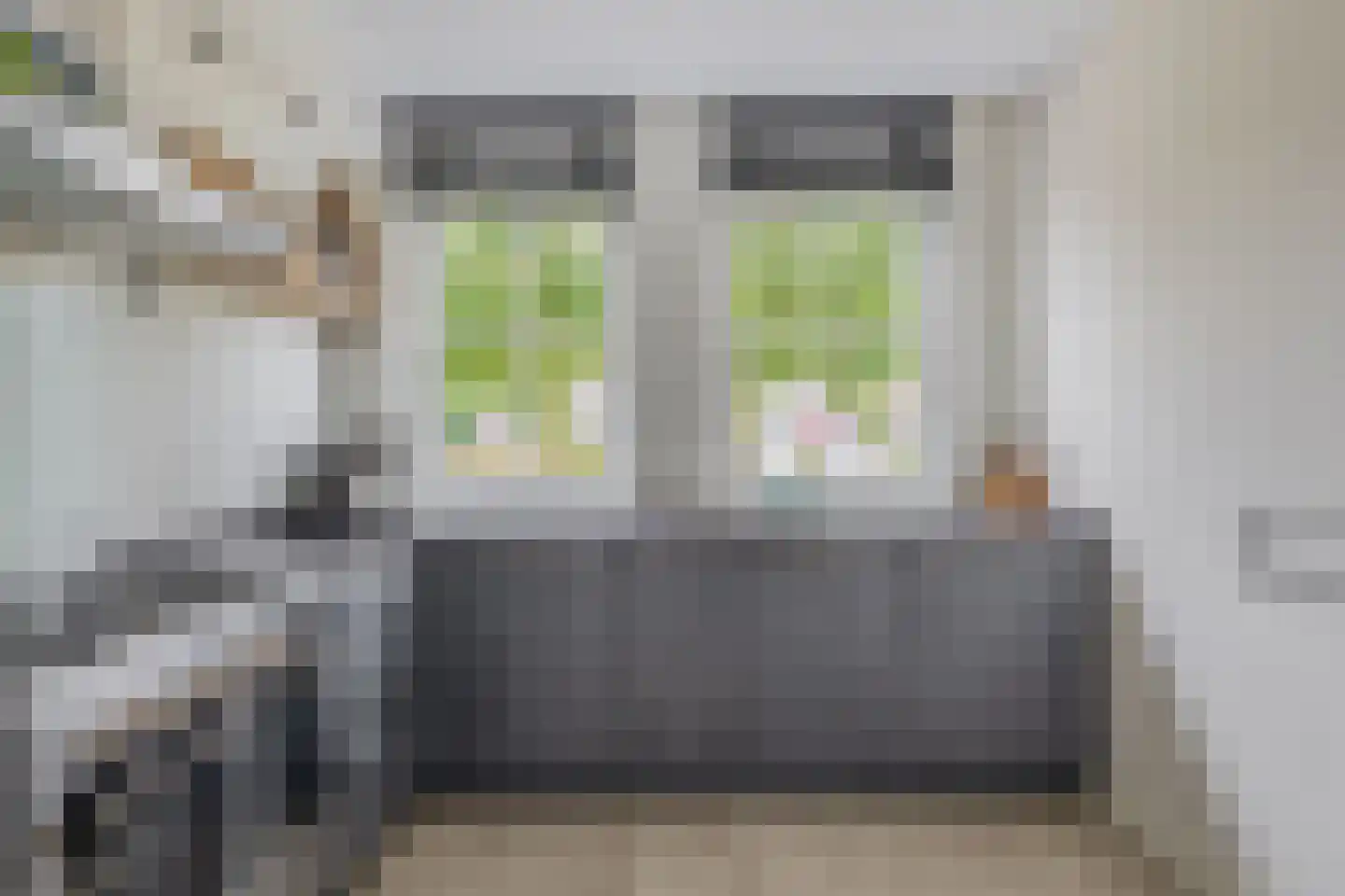 Honingeter 26 Dirksland thumbnail 15
