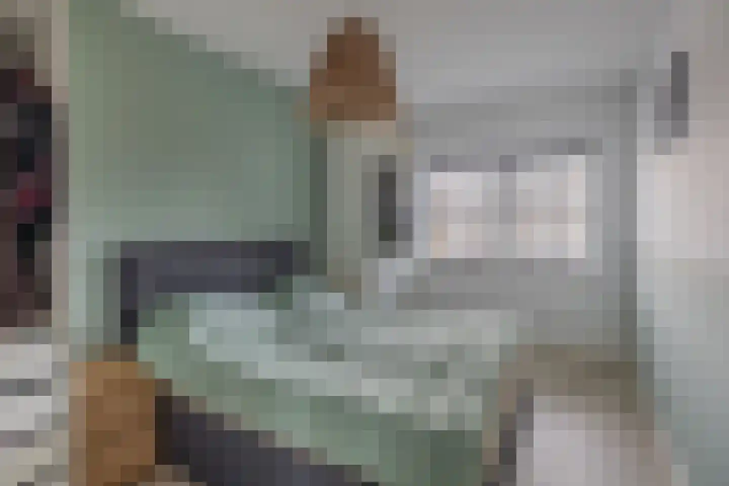 Honingeter 26 Dirksland thumbnail 18