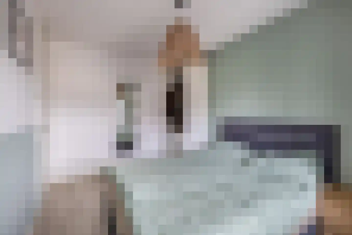 Honingeter 26 Dirksland thumbnail 19